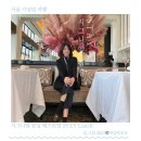 롯데호텔 잠실 시그니엘 81층 스테이 STAY 전망좋은 레스토랑 코스 후기 내돈내산