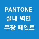 노루표페인트 - 서산시 고운로 113 | 셀프 페인팅으로 집안이 환해졌다 – 노루표 PANTONE 브라이트화이트 무광 페인트 후기