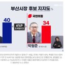 주정차단속-66 이미지