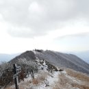 엘사랑