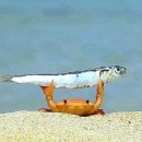 루지민박 이미지