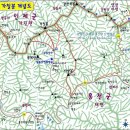 1240 Daum카페