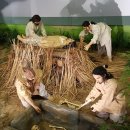 고창고인돌박물관 이미지