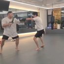 알파복싱 이미지