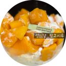 시월의 미 | [성심당_빵지순례] 내돈내산 망고시루부터 마라미고로케까지 솔직 후기