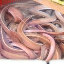 기장시장공영주차장 이미지