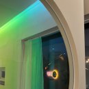 표선달채 이미지