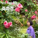 전남 담양 가볼만한곳 죽화경, 기대하고 갔다가 놀란 이유