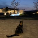 영농조합법인동편제마을 이미지