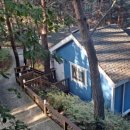 숲속의 예쁜별 이미지