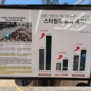 셀라하우스 이미지