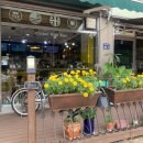 파파스치킨호프 이미지