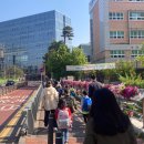 광교마을로 이미지