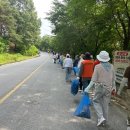 성지순례길 이미지