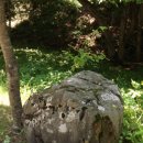 통고산자연휴양림 이미지