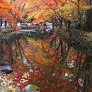 백양사(순천) 이미지