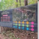 바람길 | 10월 25일 포천 명성산 억새바람길 등산 후기