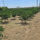 제주남원농협사업소 이미지