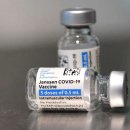 얀센 백신 또 논란…美 FDA, 자가면역 질환 경고(종합) 이미지