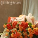 플라워샵허니비