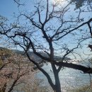 25.4.25. 강화도로 콧바람 쐬러~