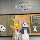 기지에너지 | 중국 청두 가볼만한 자이언트 판다기지