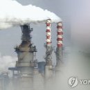 국제개발협력실천시민연합
