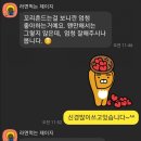 해피펫애견 이미지