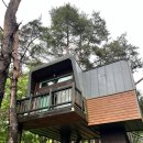 지리산 | 비 온 뒤 더욱 아름다웠던 지리산 세걸산 등산 후기