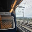 태화장 | 대전 동구 중식 멘보샤 맛집 추천 태화장 웨이팅 꿀팁 내돈내산 솔직후기