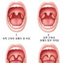 서현숲가정의학과의원 이미지