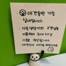 리아 프레쉬 밀