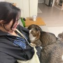 6-162 TS | 로우클래식 후드집업 후기 LOW SOFT SWEAT ZIP-UP HOODIE CHARCOAL