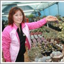 다유기랑플라워스타일링 이미지