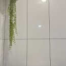 1인세신샵 윤 이미지