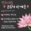 연화네일