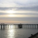 오선농장 이미지