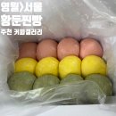 강애별펜션 네이버블로그