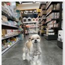 야옹아멍멍해봐 송파위례점 이미지