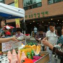 푸른나무 이미지