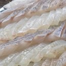 싱싱회종합어시장 이미지