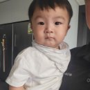 하예라 태권도 이미지