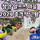 알프스마을매점 이미지