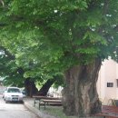 현동면사무소 이미지