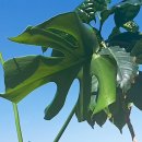 지승농장 이미지