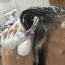 CL헤어 - 광양시 구마3길 23 | 단백질 산양유 약산성 두피케어 셀림 제주 헤어 샴푸 후기