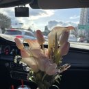 용두방천2길 | [대구 졸리쥬드 캔들공방] 대구 부케 선물후기💐 (내돈내산)