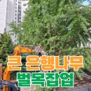 안심택배함(전원어린이공원) | 아파트 단지 내 대형 나무 벌목 작업