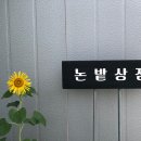 논밭상점 이미지