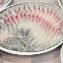 시장횟집 이미지